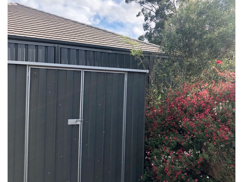 3 Vivienne Street, Hill Top NSW 2575