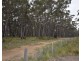 121 Colo Road, Colo Vale NSW 2575