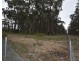 121 Colo Road, Colo Vale NSW 2575