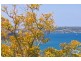 12/37 Moruben Rd, Mosman NSW 2088