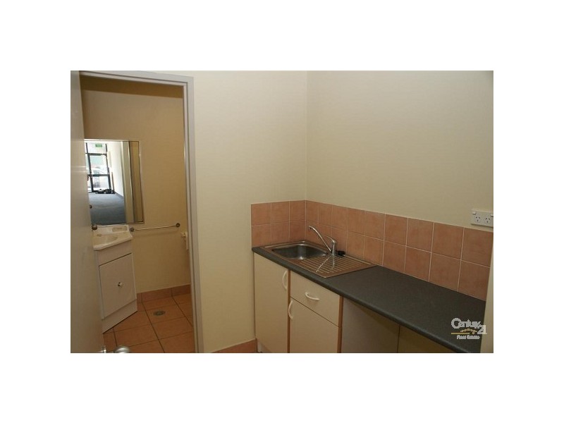 13 Brodie Street, Rydalmere NSW 2116