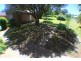 26 COX AVENUE, Orange NSW 2800