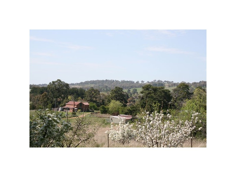 Orange NSW 2800