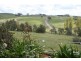 Orange NSW 2800