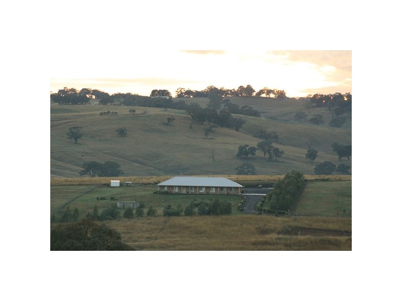 Orange NSW 2800