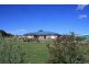 Orange NSW 2800