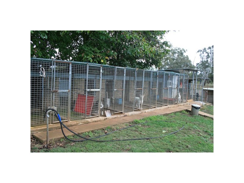 Millthorpe NSW 2798