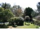 Millthorpe NSW 2798