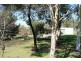 Millthorpe NSW 2798
