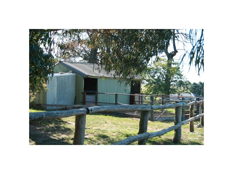 Orange NSW 2800
