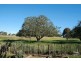 Orange NSW 2800