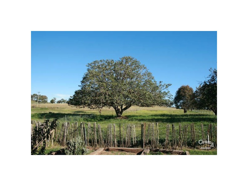 Orange NSW 2800