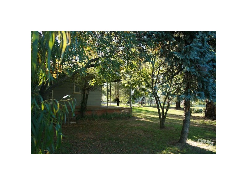 Orange NSW 2800