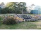 Millthorpe NSW 2798