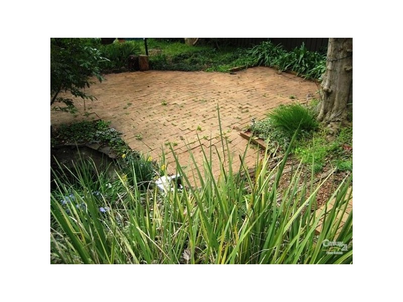 Orange NSW 2800