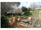 Orange NSW 2800