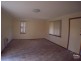 Orange NSW 2800