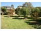 Orange NSW 2800