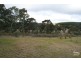 Orange NSW 2800