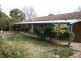 Orange NSW 2800