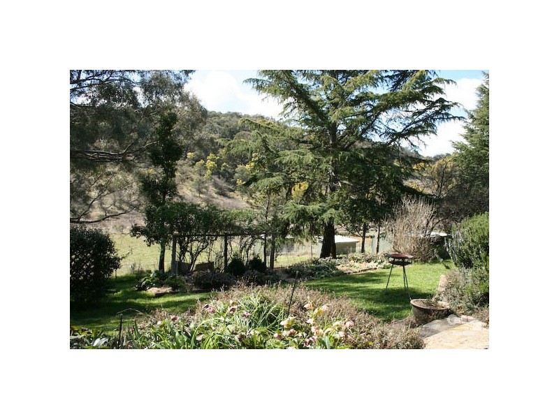 Orange NSW 2800