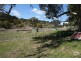 Orange NSW 2800