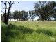 Orange NSW 2800