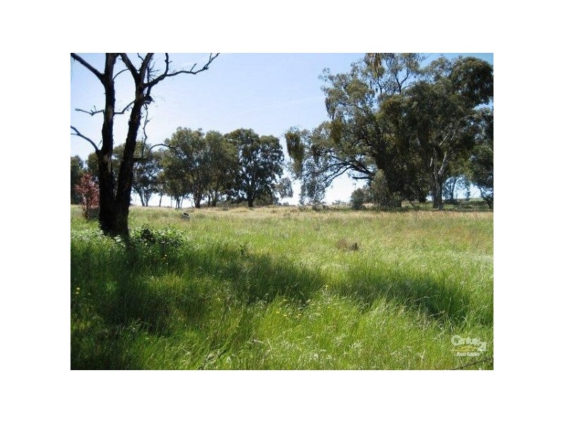 Orange NSW 2800