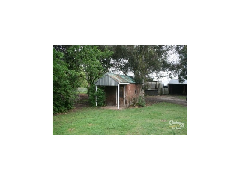 1665 Forest Reefs Rd Spring Terrace, Orange NSW 2800
