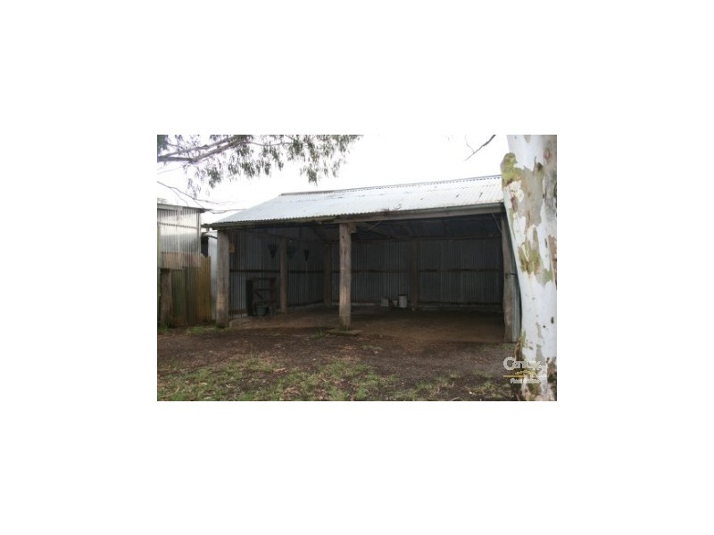 1665 Forest Reefs Rd Spring Terrace, Orange NSW 2800