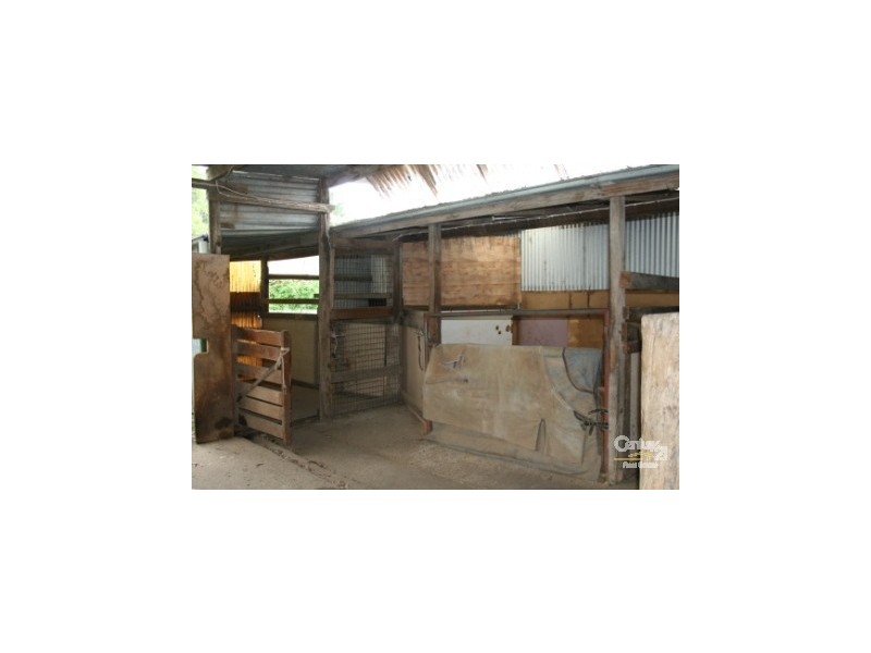 1665 Forest Reefs Rd Spring Terrace, Orange NSW 2800