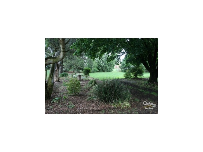 1665 Forest Reefs Rd Spring Terrace, Orange NSW 2800