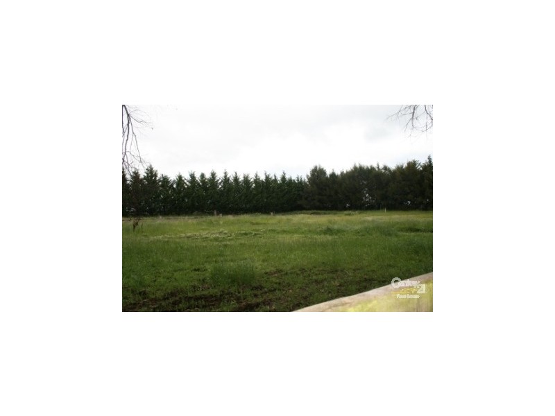 1665 Forest Reefs Rd Spring Terrace, Orange NSW 2800