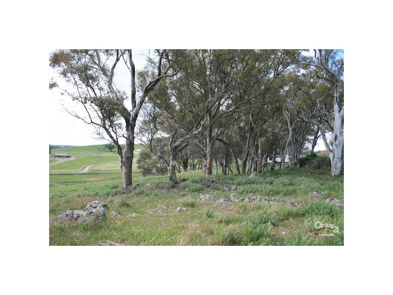 Lot 4 MADELINES LANE WINDERA ESTATE, Orange NSW 2800