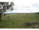 Lot 4 MADELINES LANE WINDERA ESTATE, Orange NSW 2800