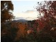 Orange NSW 2800