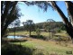 Orange NSW 2800