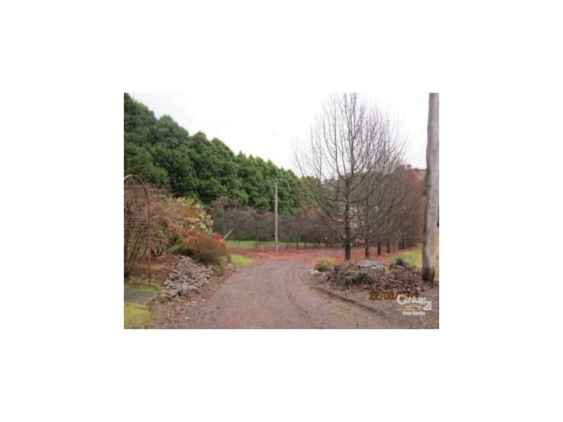 962 Canobolas Rd, Orange NSW 2800