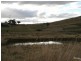 Orange NSW 2800
