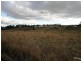 Orange NSW 2800