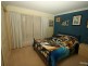Millthorpe NSW 2798