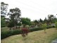 Orange NSW 2800