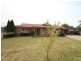 Orange NSW 2800