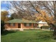 Orange NSW 2800