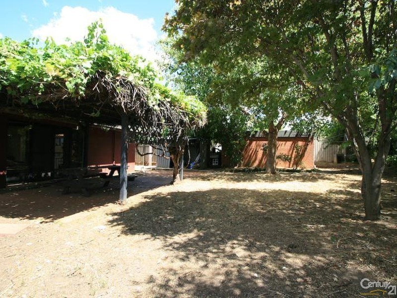 Orange NSW 2800