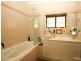 Orange NSW 2800