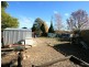 Orange NSW 2800