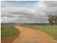Windera NSW 2800