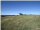 Windera NSW 2800