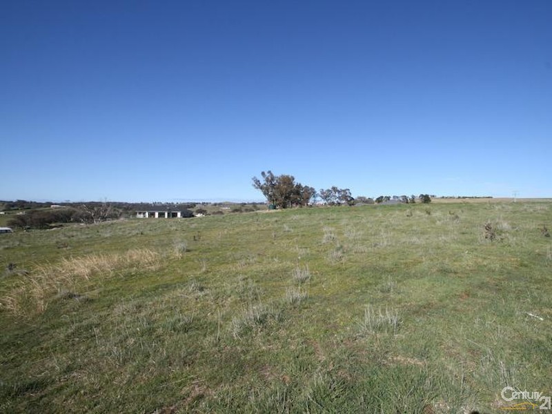 Windera NSW 2800